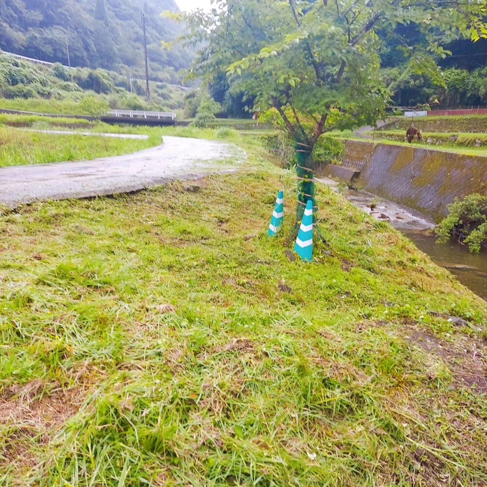 ブログ画像