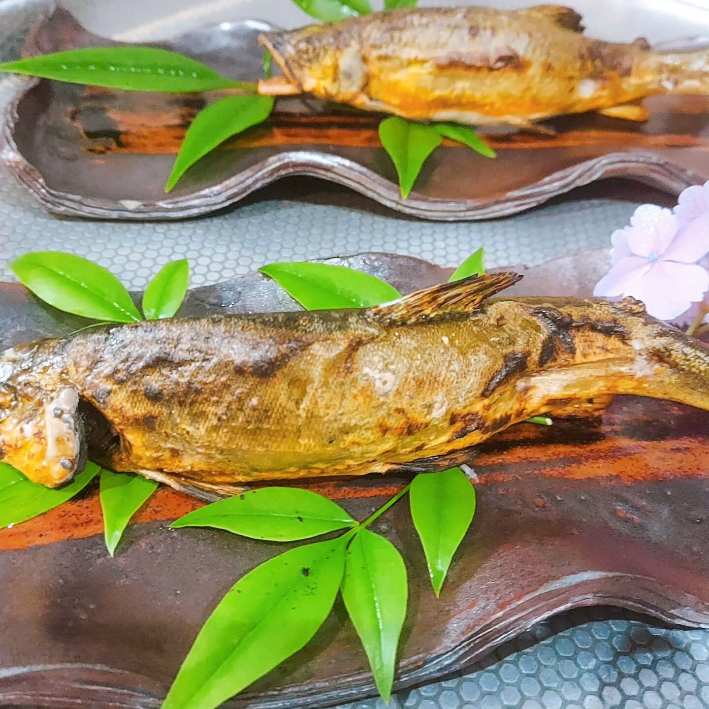 鮎の塩焼き 鮎 水中糸 ZX複合メタル | サンライン
